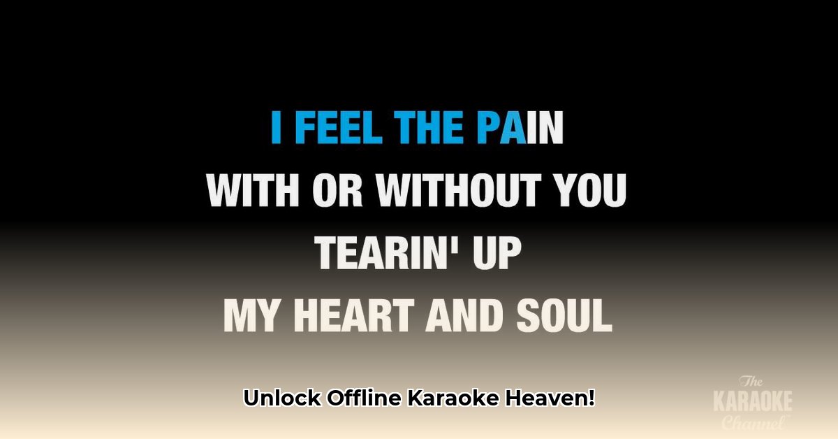 karaoke-songs-with-lyrics-free-download-offline